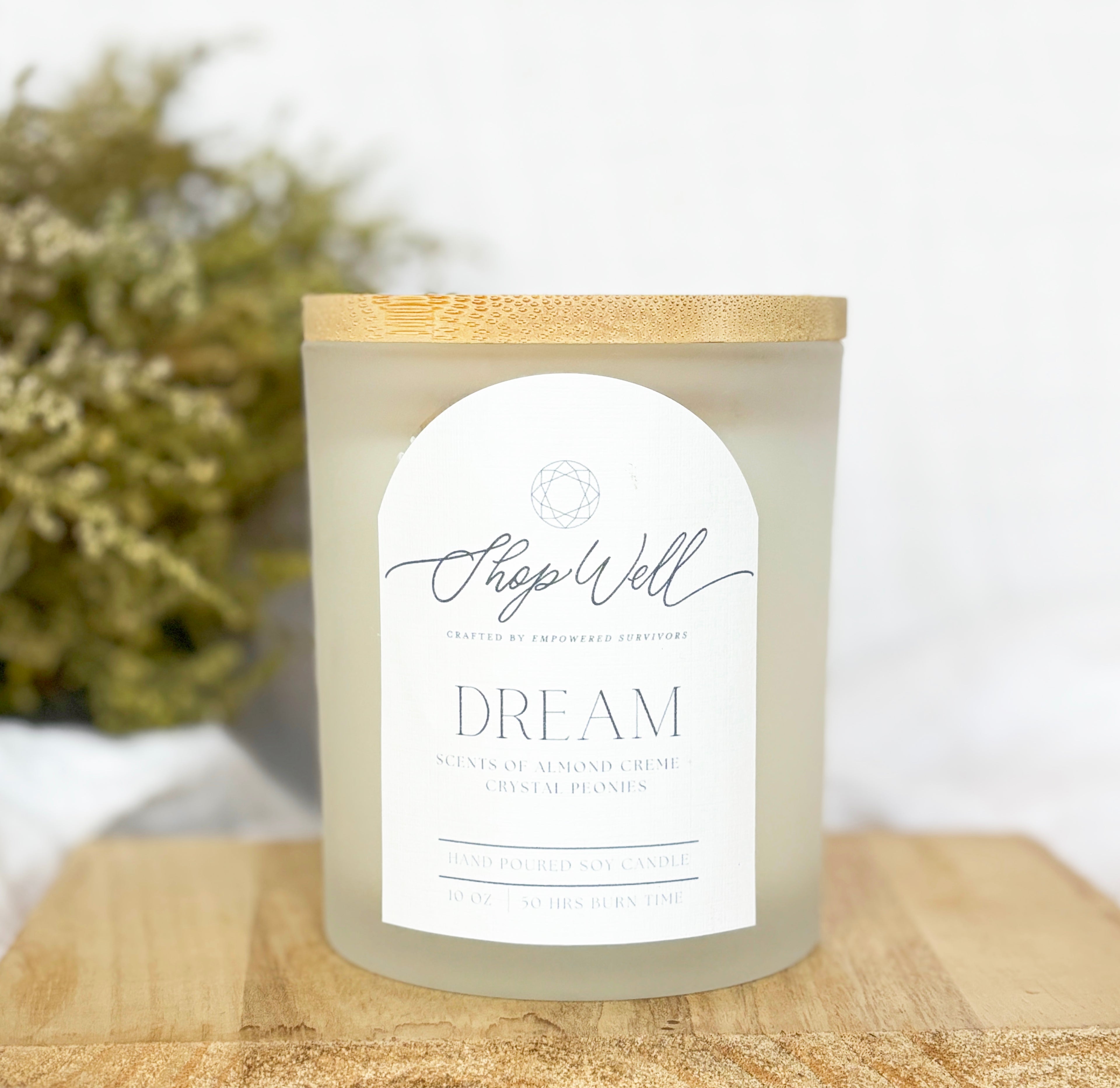 Abide Candle- Coconut + Cactus